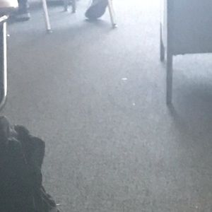 Meet your Posher, Daisy